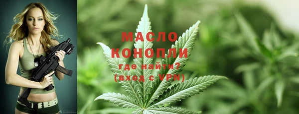2c-b Каменка