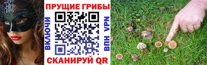 ОМГ ОМГ tor  Краснотурьинск  Галлюциногенные грибы мицелий 