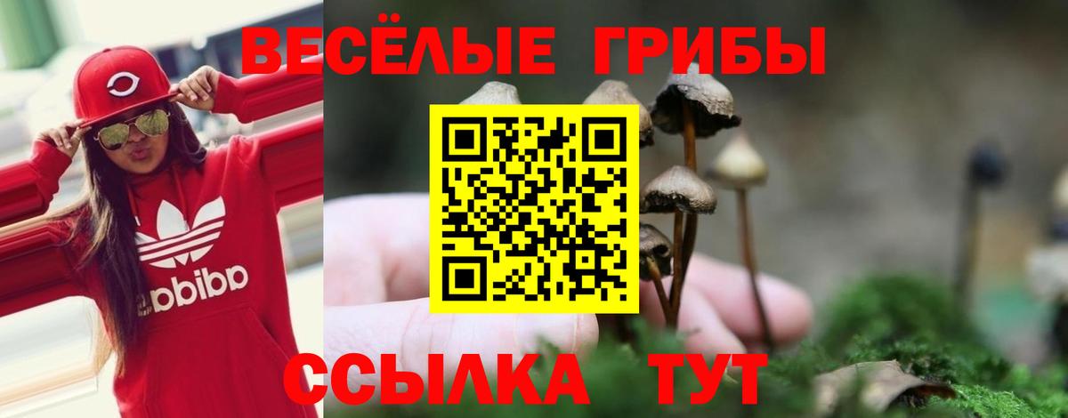 NBOMe Краснотурьинск